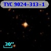 TYC 9024-313-1