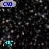 CXOU J144219.5-622834