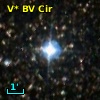V* BV Cir