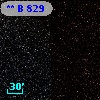 **   B   829