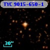 TYC 9015-650-1