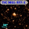 TYC 9015-977-1
