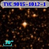 TYC 9015-1012-1