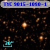 TYC 9015-1080-1