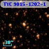 TYC 9015-1202-1