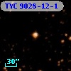 TYC 9028-12-1