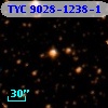 TYC 9028-1238-1