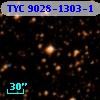 TYC 9028-1303-1