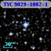 TYC 9029-1002-1