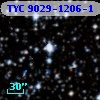 TYC 9029-1206-1