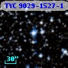 TYC 9029-1527-1