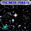 TYC 9029-2501-1