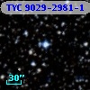 TYC 9029-2981-1