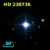 HD 238736
