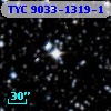 TYC 9033-1319-1
