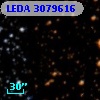 LEDA 3079616