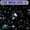 TYC 9029-273-1