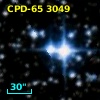 CPD-65  3049