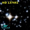 HD 137441