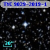 TYC 9029-2019-1
