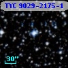 TYC 9029-2175-1
