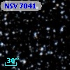 NSV  7041