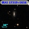 IRAS 17319+5656