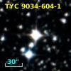 TYC 9034-604-1