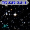 TYC 9260-313-1