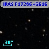 IRAS F17286+5616