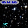 HD 141709