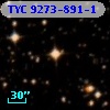 TYC 9273-891-1