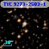 TYC 9273-2503-1