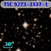 TYC 9273-3137-1