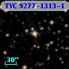 TYC 9277-1313-1