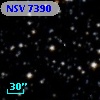 NSV  7390