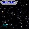 NSV  7367