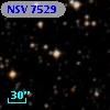 NSV  7529