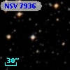 NSV  7936