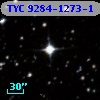 TYC 9284-1273-1