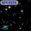 NSV  9174