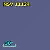 NSV 11124