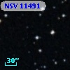 NSV 11491