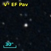 V* EF Pav