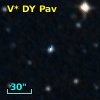 V* DY Pav