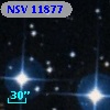 NSV 11877