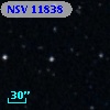 NSV 11838