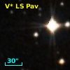 V* LS Pav