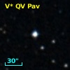 V* QV Pav