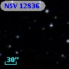 NSV 12836
